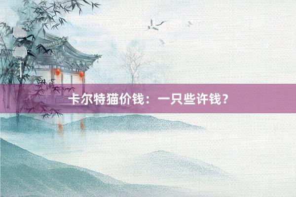 卡尔特猫价钱：一只些许钱？